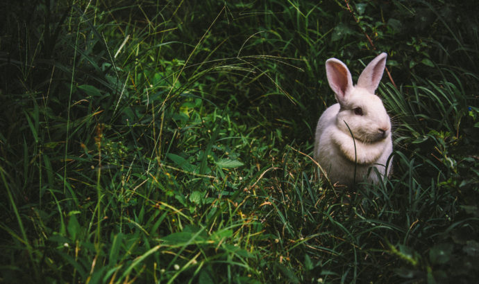 Is Easter the new Christmas?
